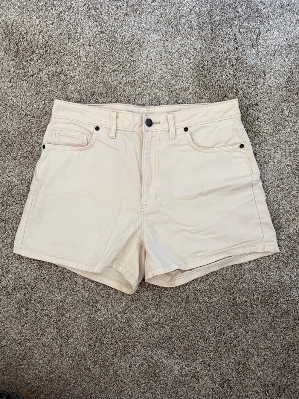 Patagonia Classic Shorts
